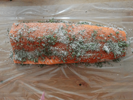 cured salmon recipe