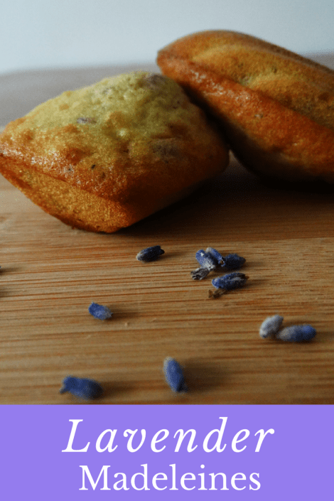 lavender madeleines recipe